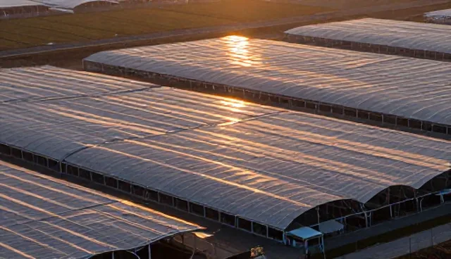 技术咨询与规划：应用趋势下的使用与维护建议